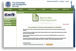 Screen Capture of ELIS application